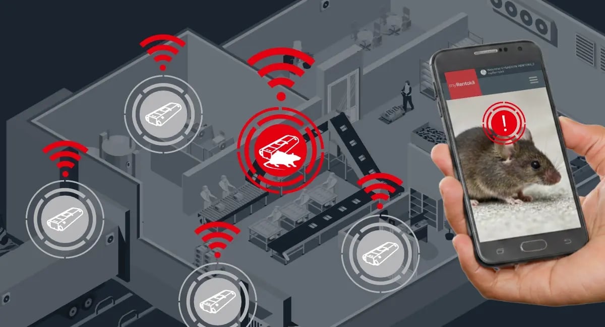 fi-rentokil-image-pest-connect